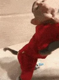 地铁奇遇：揭秘逃脱猴子的神秘装扮，是哪款服装助它一臂之力？
