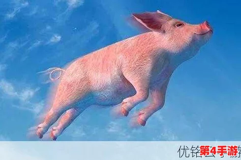 用户喜爱的美国Zoom动物猪：如何在宠物世界中找到快乐与乐趣的完美结合