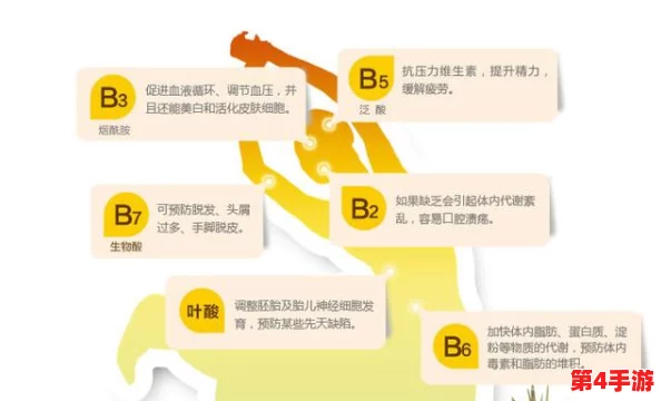 B大与小与其他年龄段对比:深入理解不同年龄阶段的特点和差异 B大与小与其他年龄段对比:深入理解不同年龄阶段的特点和差异