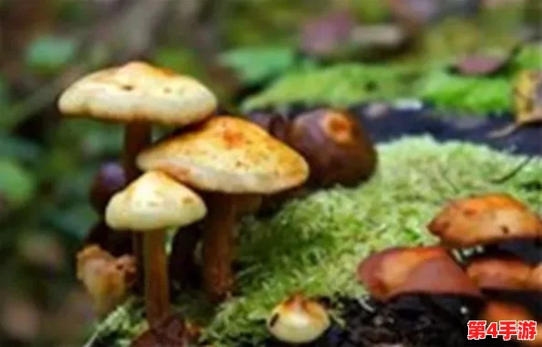 蘑菇91吃瓜黑料:正能量涌动,让我们共同成长! 蘑菇91吃瓜黑料:正能量涌动,让我们共同成长!