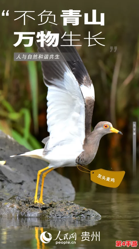 红桃视颏:探寻这种鸟类的独特魅力与生态习性之谜 红桃视颏:探寻这种鸟类的独特魅力与生态习性之谜