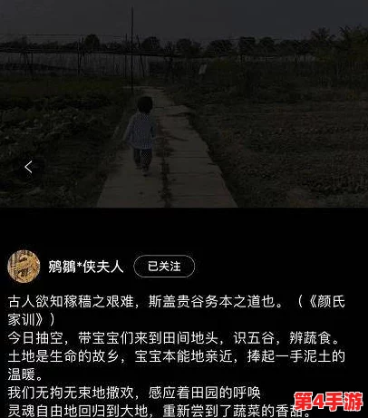 拔萝卜原声不带歌词没有马赛克，感受纯粹音效的魅力与乐趣，让你沉浸其中
