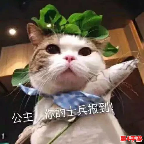 柚子猫yuzukitty的情人节礼物onlyfans:甜蜜独特的惊喜,给爱增添无限温暖与浪漫 柚子猫yuzukitty的情人节礼物onlyfans:甜蜜独特的惊喜,给爱增添无限温暖与浪漫