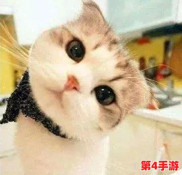 柚子猫yuzukitty的情人节礼物onlyfans:甜蜜独特的惊喜,给爱增添无限温暖与浪漫 柚子猫yuzukitty的情人节礼物onlyfans:甜蜜独特的惊喜,给爱增添无限温暖与浪漫