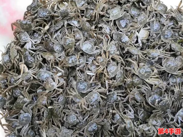 第五人格田园秋收节回归盛宴：详解返场皮肤，秋日装扮再添新彩！