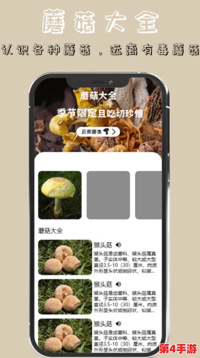 蘑菇moguspace最新版本更新内容-锦上添花,更胜一筹 蘑菇moguspace最新版本更新内容-锦上添花,更胜一筹