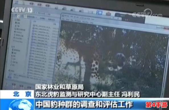 黑花打开生腔,科学家发现新物种揭示生态系统的复杂性与脆弱性,引发广泛关注与讨论 黑花打开生腔,科学家发现新物种揭示生态系统的复杂性与脆弱性,引发广泛关注与讨论