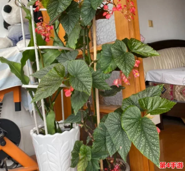 丰满多毛多水BBBBB:新研究显示,丰富的水分和营养对植物生长至关重要,助力生态平衡 丰满多毛多水BBBBB:新研究显示,丰富的水分和营养对植物生长至关重要,助力生态平衡