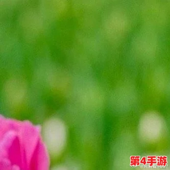 老牛嫩草AⅤ一区二区三区,传递积极向上的生活态度,让每个人都能找到属于自己的幸福与快乐 老牛嫩草AⅤ一区二区三区,传递积极向上的生活态度,让每个人都能找到属于自己的幸福与快乐