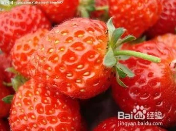 草莓小视频：新研究显示，草莓对心脏健康有显著益处，助力预防多种疾病