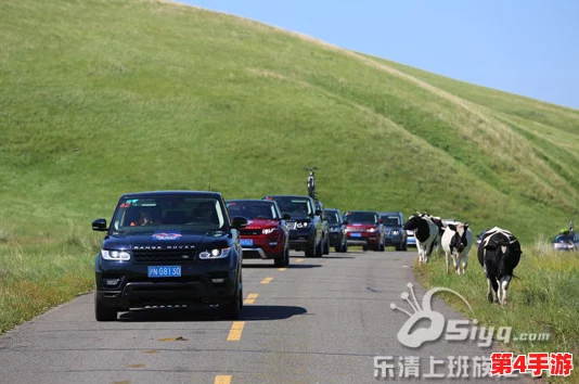 缅北AAAAA：探寻未知，发现惊喜，勇往直前，永不止步