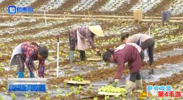 明日之后美食探索：蒸烤蔬菜的完美融合技巧与独家配方分享
