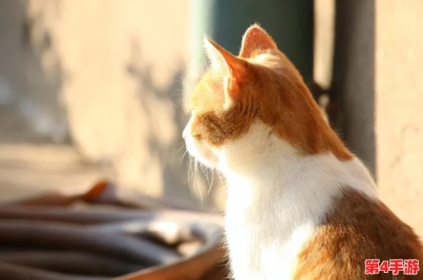 超喵星计划:全面指南解锁猫咪携爪技能,轻松收集携爪道具攻略大放送 超喵星计划:全面指南解锁猫咪携爪技能,轻松收集携爪道具攻略大放送