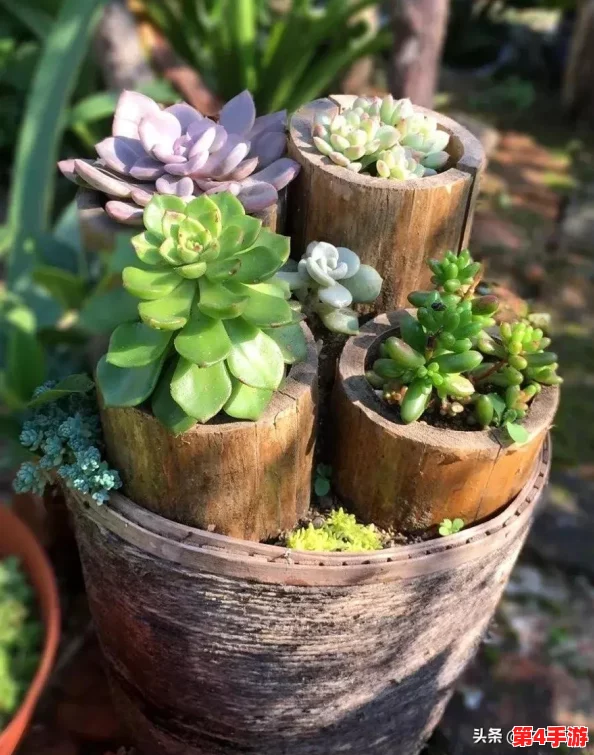 葫芦里边不卖药,千万你需要,秘诀在于坚持和努力 葫芦里边不卖药,千万你需要,秘诀在于坚持和努力