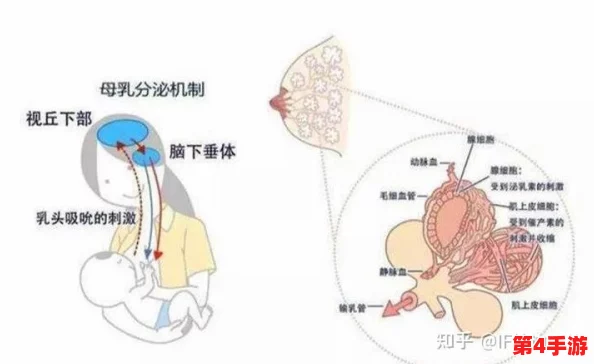 老太奶性开放BBwBBw的多元文化背景与社会影响分析