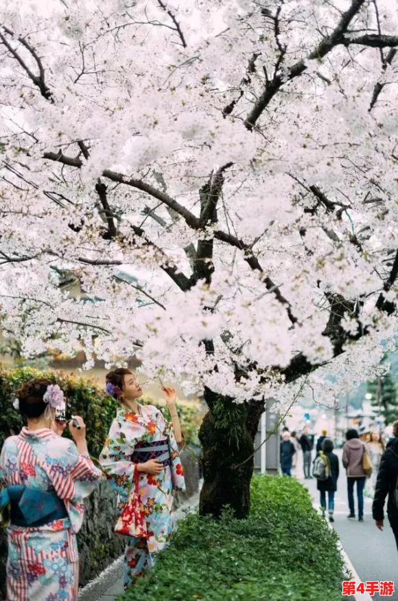 69日本XXXXXXXX96:畅游在樱花盛开的季节,感受春日的浪漫与温暖 69日本XXXXXXXX96:畅游在樱花盛开的季节,感受春日的浪漫与温暖