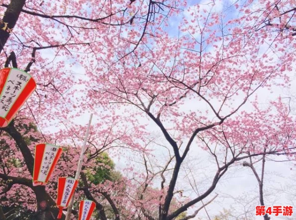 69日本XXXXXXXX96:畅游在樱花盛开的季节,感受春日的浪漫与温暖 69日本XXXXXXXX96:畅游在樱花盛开的季节,感受春日的浪漫与温暖