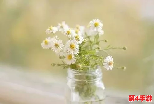 八尺夫人满天星最经典的一句:温柔浪漫的诗意情怀在心中绽放,感动每一个瞬间 八尺夫人满天星最经典的一句:温柔浪漫的诗意情怀在心中绽放,感动每一个瞬间