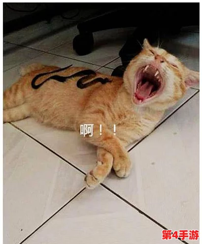 糖心柚子猫：新研究发现这种可爱猫咪的独特性格与其饮食习惯密切相关，吸引众多宠物爱好者关注
