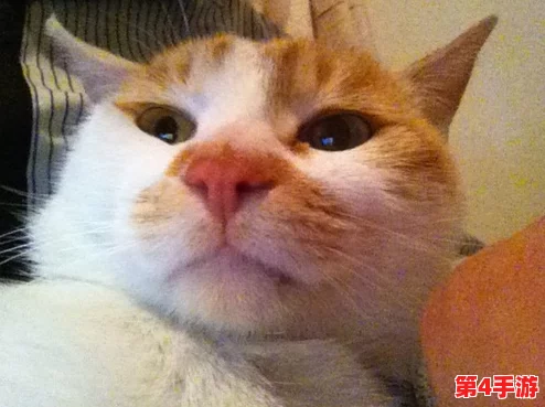 柚子猫糖心lvog：用户评价称其口感独特，甜而不腻，深受大家喜爱！