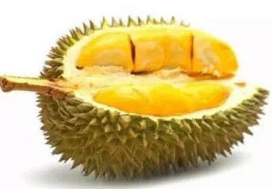 榴莲视频色版：深入理解其内容与特色，带你领略不一样的视听体验