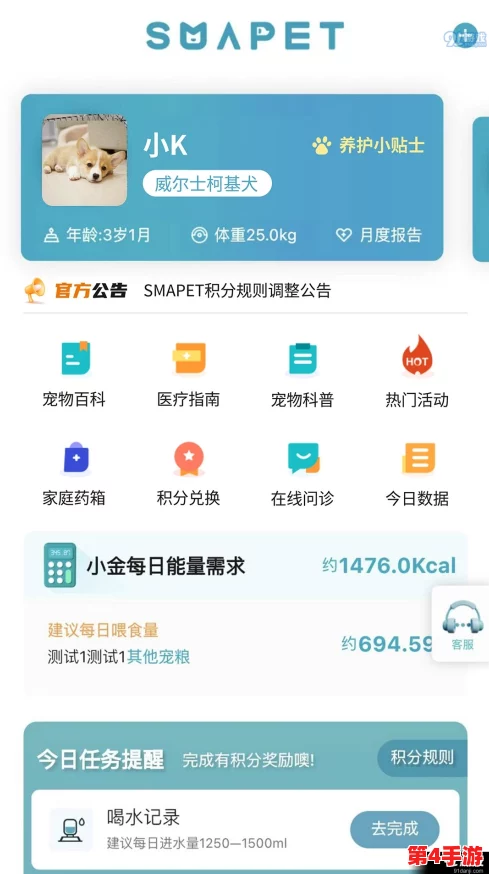 泡姆泡姆趣味无限:详细步骤教你轻松更换个性化造型,打造独一无二萌宠形象 泡姆泡姆趣味无限:详细步骤教你轻松更换个性化造型,打造独一无二萌宠形象