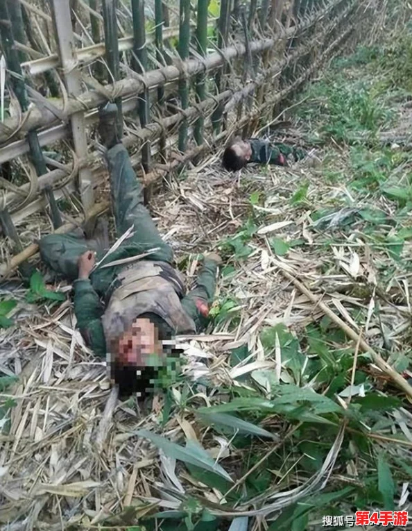 缅北活生生割下头颅网站，恶贯满盈终将覆灭