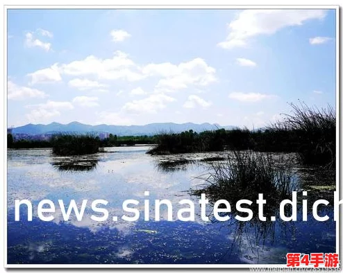 罗志祥5g天天奭多人运动背后故事与娱乐圈动态解析