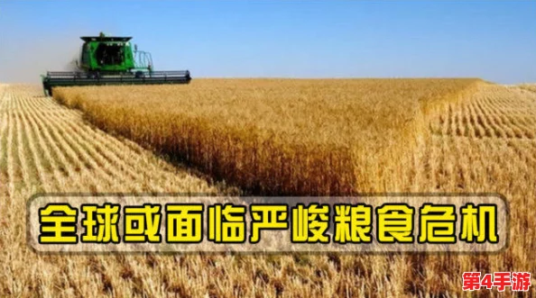 饥饿的阿:全球粮食危机加剧,联合国呼吁各国采取紧急措施应对饥荒挑战 饥饿的阿:全球粮食危机加剧,联合国呼吁各国采取紧急措施应对饥荒挑战