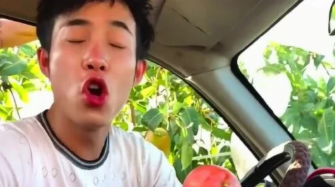 fruit回家永不迷路,网友:这真是个好主意,让我再也不用担心找不到回家的路了! fruit回家永不迷路,网友:这真是个好主意,让我再也不用担心找不到回家的路了!