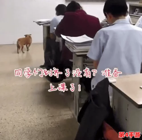 打扑克剧烈摇床不盖被子图片，理解游戏中的乐趣与放松的结合，展现生活的轻松一面