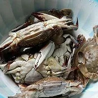 江南百景图宁波府特产全览:从渔盐美食到传统工艺,详尽汇总介绍当地特色 江南百景图宁波府特产全览:从渔盐美食到传统工艺,详尽汇总介绍当地特色