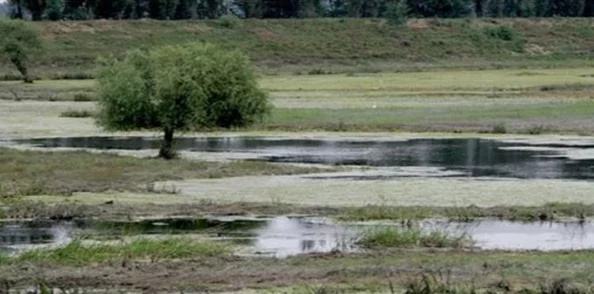 三角洲行动：揭秘零号大坝密码门解锁策略，高效通关游戏攻略指南