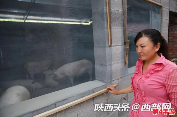 旱厕大屁股村妇偷拍：反映农村生活困境与隐私权的冲突，引发社会对传统习俗的深思