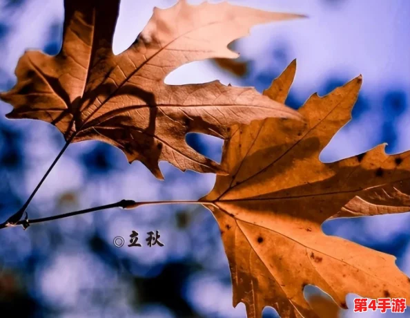 闺蜜给我找两个外国人原文：2024年全球气候变化与国际合作的新机遇