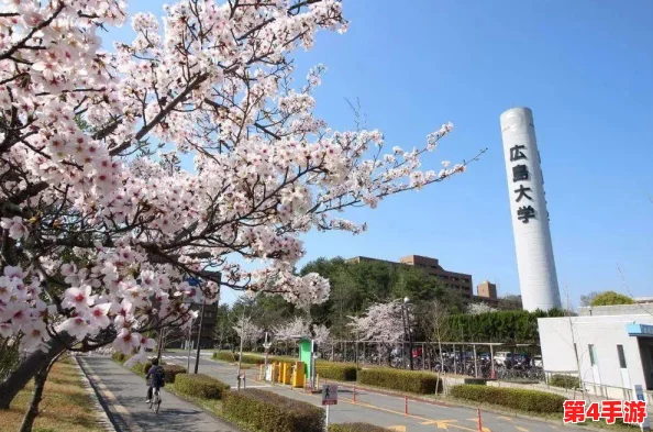 理解日本大学9月sgu2024的招生政策与国际学生机会分析