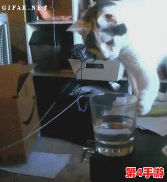 怪物猎人系列：探索最受欢迎的猫咪伙伴色彩，哪一款颜色最能俘获你的心？