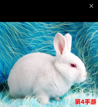 老公说看我大白兔，甜蜜互动引发网友热议：夫妻间的小趣味如何增进感情？