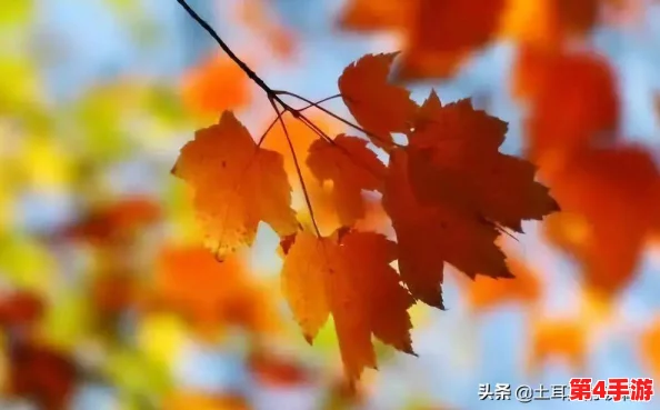 多彩生活中的aaa片:带你领略丰富多姿的娱乐世界,享受无与伦比的视听盛宴! 多彩生活中的aaa片:带你领略丰富多姿的娱乐世界,享受无与伦比的视听盛宴!