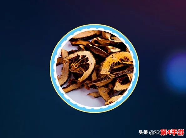 积枳桶积枳免费大全：全新资源上线，助你轻松获取丰富内容与实用技巧
