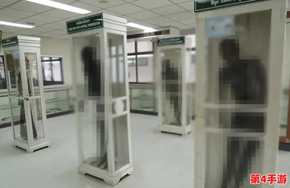 用户评价：xxnx-6-9-日-本，内容丰富多样，令人惊喜的体验，让人欲罢不能！