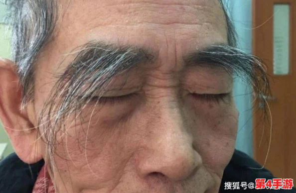 性BwBwBwBw毛多多：新研究揭示其对生态系统的重要影响与保护措施的必要性