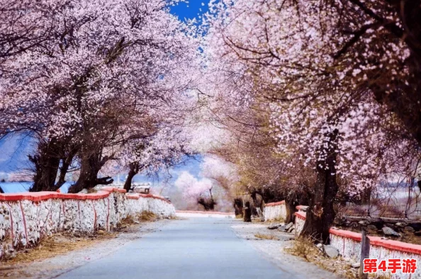 桃花洞口已是溪水潺潺，春日暖阳下游客纷至沓来感受自然之美
