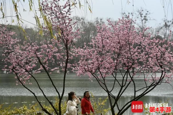 桃花洞口已是溪水潺潺，春日暖阳下游客纷至沓来感受自然之美