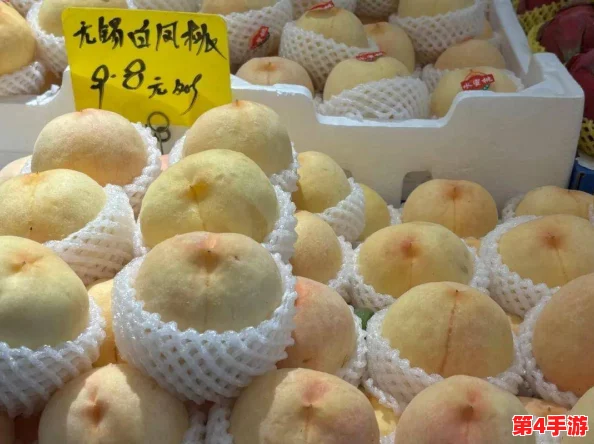 91水蜜桃:夏季水果市场的新宠,口感鲜美引发消费者热潮 91水蜜桃:夏季水果市场的新宠,口感鲜美引发消费者热潮