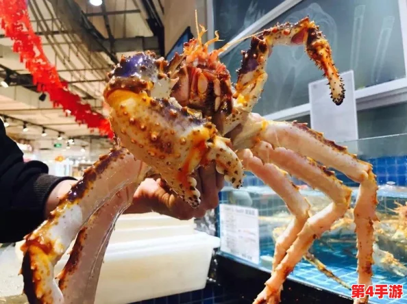 鲍鱼直播:海鲜美食新风潮,带你领略舌尖上的奢华体验与烹饪技巧分享 鲍鱼直播:海鲜美食新风潮,带你领略舌尖上的奢华体验与烹饪技巧分享