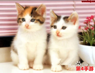 猫メイド像素下载安装免费,让你感受到无限的快乐和创造力 猫メイド像素下载安装免费,让你感受到无限的快乐和创造力