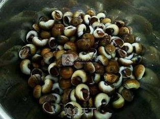 星球重启:探索香螺美味食谱,揭秘稀有食材藏匿之地与采集技巧 星球重启:探索香螺美味食谱,揭秘稀有食材藏匿之地与采集技巧