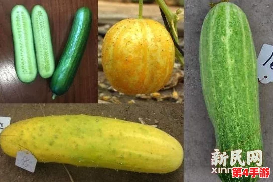 草莓香蕉榴莲黄瓜丝瓜茄子:多样水果与蔬菜的奇妙搭配,带来健康饮食的新选择与灵感 草莓香蕉榴莲黄瓜丝瓜茄子:多样水果与蔬菜的奇妙搭配,带来健康饮食的新选择与灵感