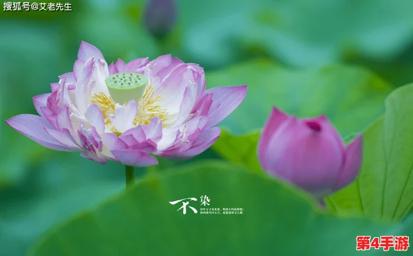 福伦夺了紫薇清白,背后隐藏的真相与人性的复杂交织让人深思,值得我们认真反思和讨论 福伦夺了紫薇清白,背后隐藏的真相与人性的复杂交织让人深思,值得我们认真反思和讨论